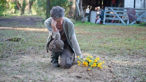 The Walking Dead: 4×14